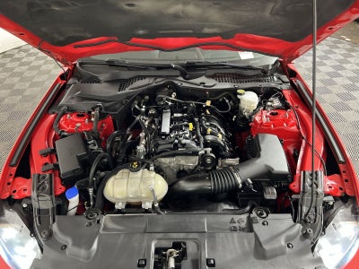 2022 Ford Mustang EcoBoost