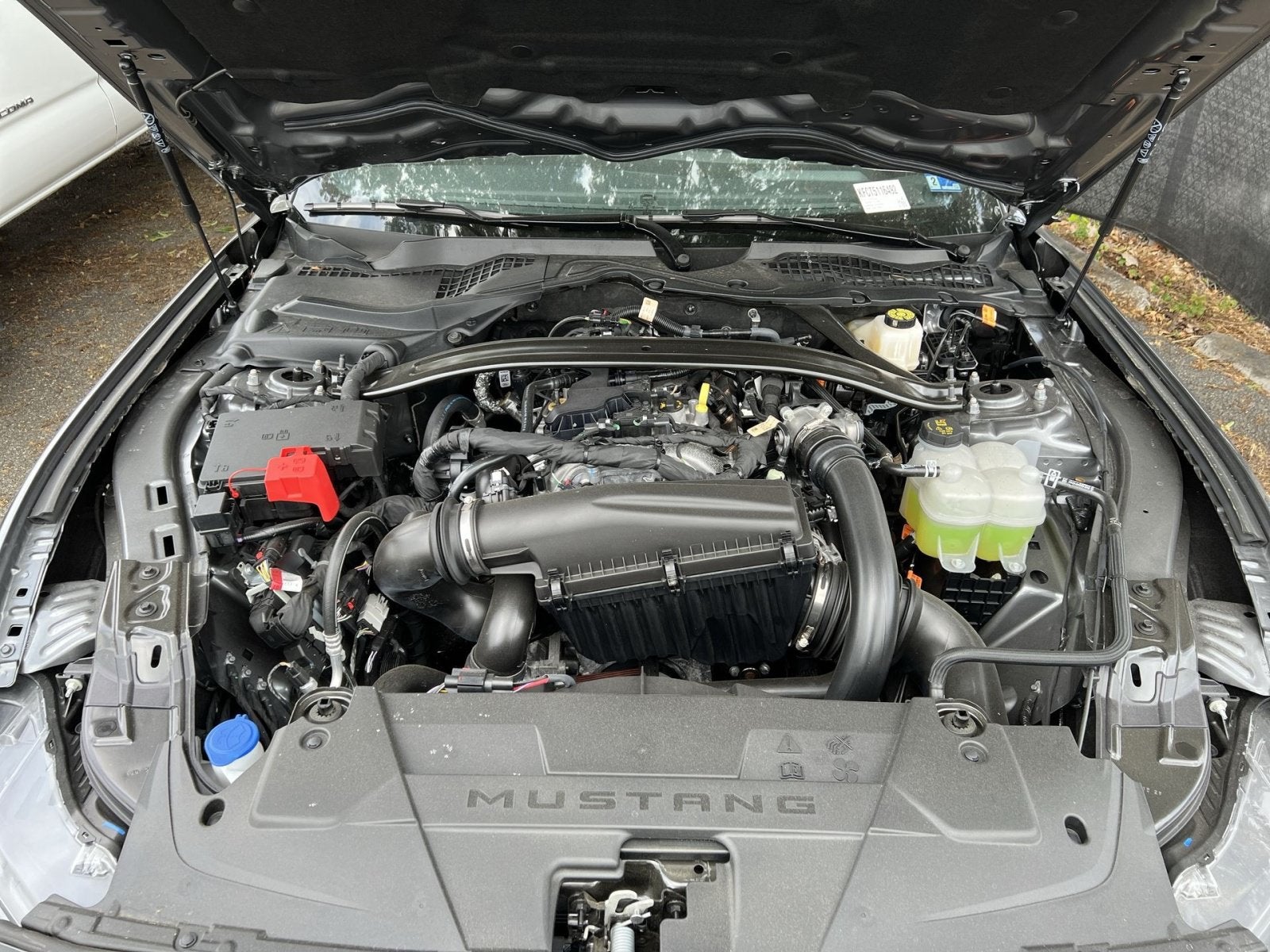 2026 Ford Mustang EcoBoost Premium