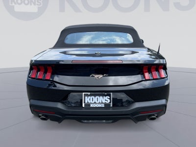 2026 Ford Mustang EcoBoost