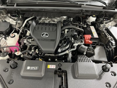 2024 Lexus NX 350 Base